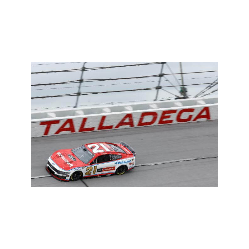 Talladega '25 - 1