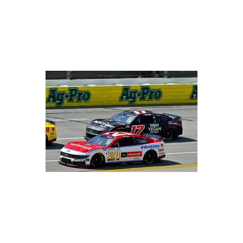 Talladega 26' - 6