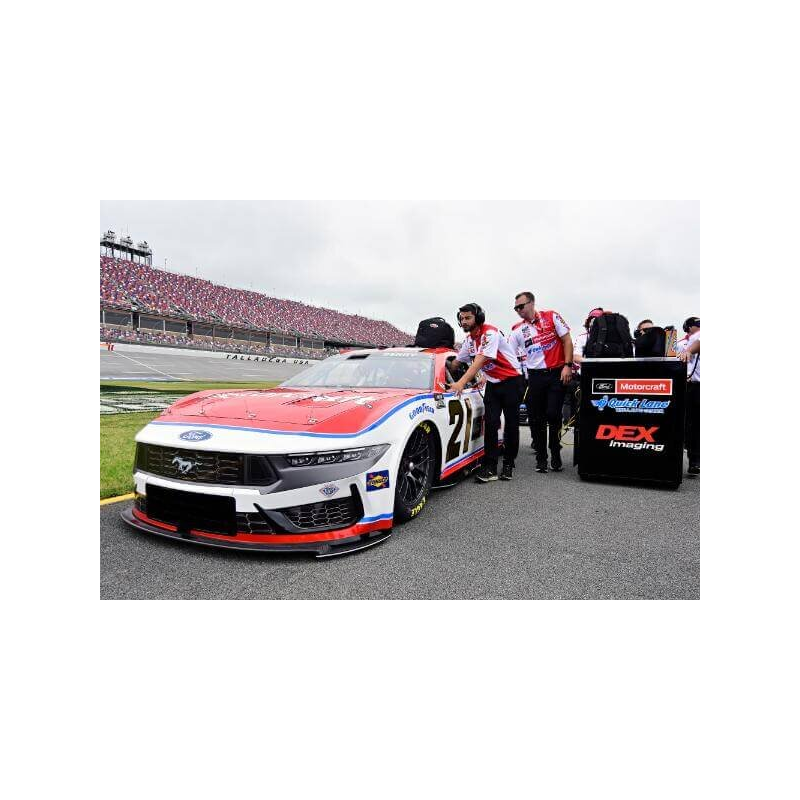 Talladega '25 - 4
